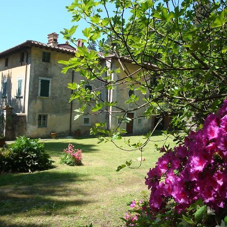 Bed & Breakfast Villa Masini-Luccetti Pietrasanta Buitenkant foto